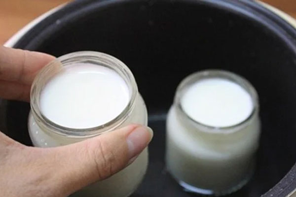 Nên chọn ủ sữa chua bằng nồi cơm điện