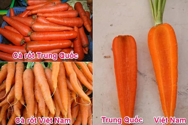 Phân biệt giữa cà rốt Đà Lạt và cà rốt Trung Quốc 