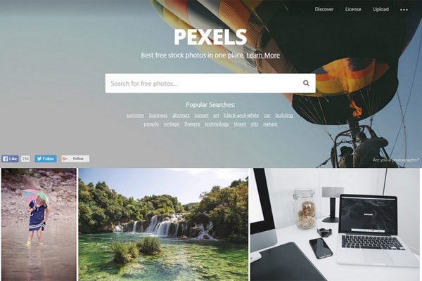 Pexels - nền tảng cung cấp hình ảnh ấn tượng và chuyên nghiệp