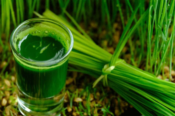 Nước lá hẹ được thực hiện khá đơn giản Nước lá hẹ được thực hiện khá đơn giản