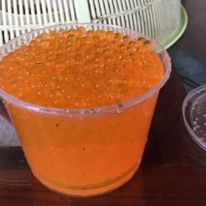 Đạn thạch được làm từ chất liệu polyme thường sử dụng cho súng đạn thạch