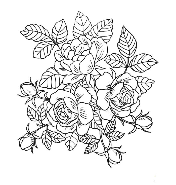 Tranh tô màu hoa hồng siêu đẹp, sắc nét